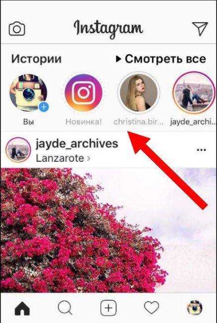 Как смотреть сторис и ленту «Инстаграм» без регистрации