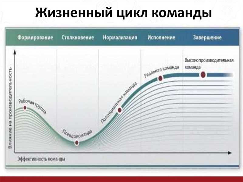 Стадии формирования команд по Брюсу Такмену